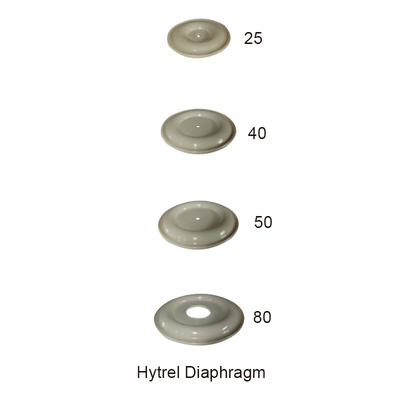 Màng Hytrel thay thế màng bơm khí 1 inch 2 inch