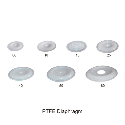 Bộ phận bơm màng đôi hoạt động bằng không khí PTFE